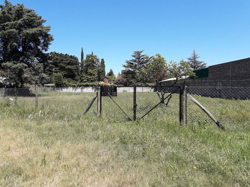 Lote En Rotonda El Ombu