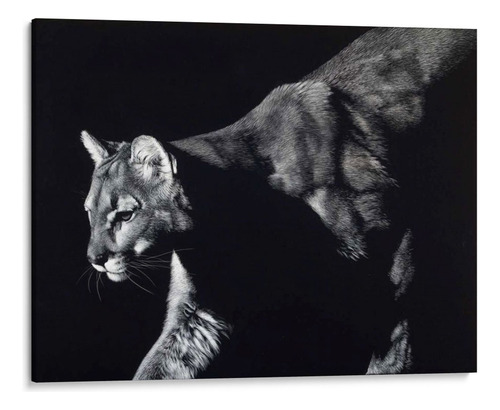 Canvas Lab Cuadro Merodeador 100x75, Julie T. Chapman
