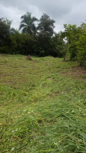 Lote Via La Mesa - Anapoima. Con Piscina.