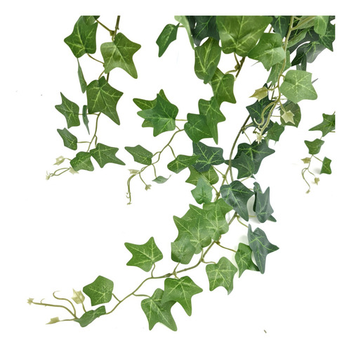 Planta Colgante Jardin Vertical Artificial Local Oficin X3un