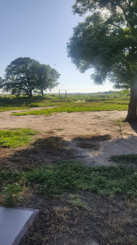 Campo Mixto De 784 Ha En Fernandez, Santiago Del Estero