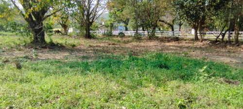 Terreno Totalmente Plano E Próximo Ao Estádio De Futebol Do Sampaio Correia