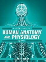 Essentials Of Human Anatomy And Physiology - James Palmer