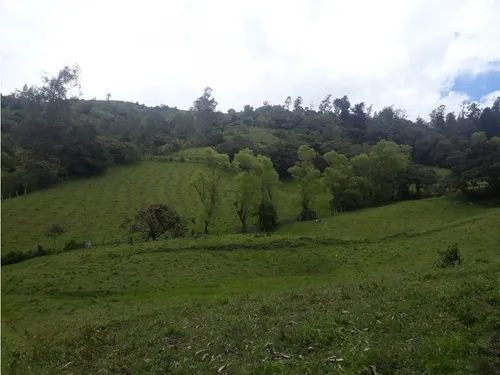 Vendo O Permuto Finca En Junin Cundinamarca