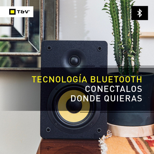 Parlantes Bluetooth Thonet Vander Vertrag C/ Cable Optico 3m Color Black