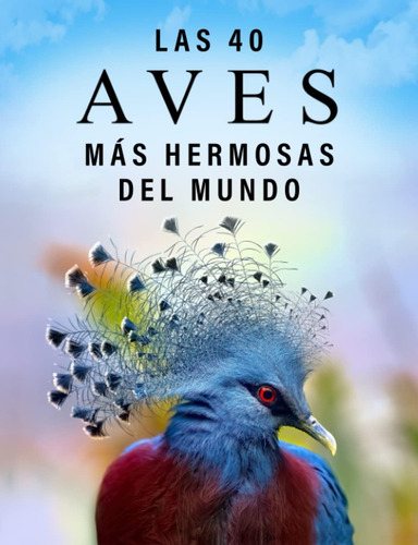 Libro: Las 40 Aves Más Hermosas Del Mundo: Un Libro De Fotog