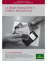 Comprar Ctdl Nº 10: La Remuneracion Y Otros Beneficios, De Garcia Vior, Andrea. Editorial Errepar, Tapa Blanda En Español, 2011