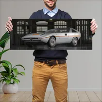 Comprar Cuadro 30x80cm Auto 1971 Alfa Romeo Alfasud Caim 95