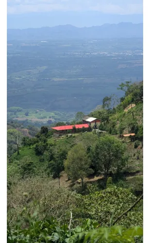 Venta Finca Cordoba - 3.5 Hectareas