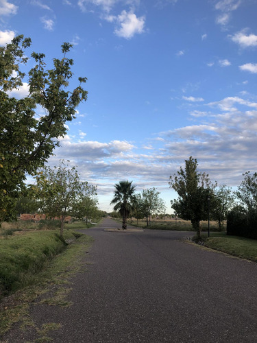 Terreno En Venta En Barrio Privado Viñas Del Sur - San Rafael - Mendoza