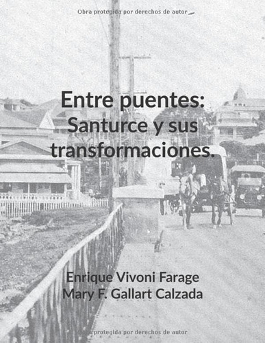 Libro: Entre Puentes: Santurce Y Sus Transformaciones (spani