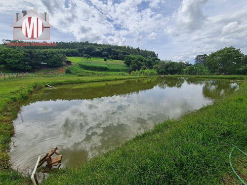 Imagem 19 de 21 de Ótima Chácara Com 03 Dormitórios, Lago, Nascente, Pomar, Bem Localizada, À Venda, 4000 M² Por R$ 540.000 - Rural - Socorro/sp - Ch0869