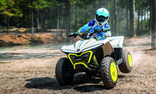 Quadriciclo Infantil Cfmoto Cforce Ev 110cc Elétrico