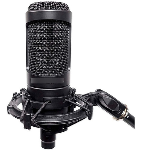 Micrófono Audio-Technica AT2050 condensador omnidireccional negro