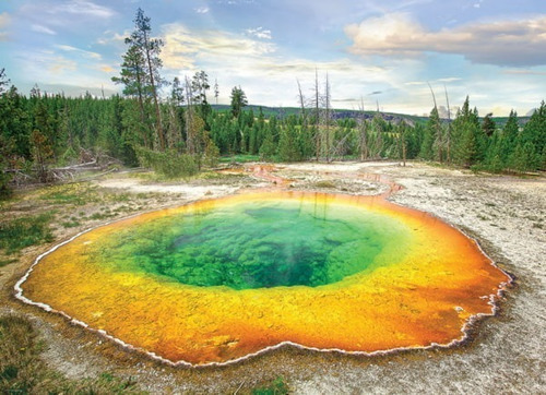 Imagen 3 de 3 de Rompecabezas Eurographics Morning Glory Pool - 1000 Piezas