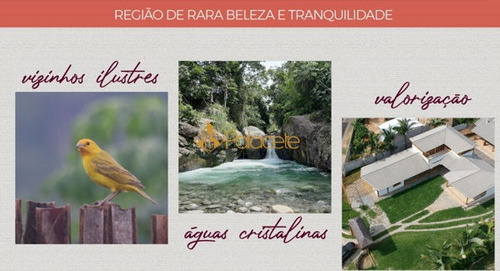 Imagem 3 de 8 de Rural Chacara - 921735-v