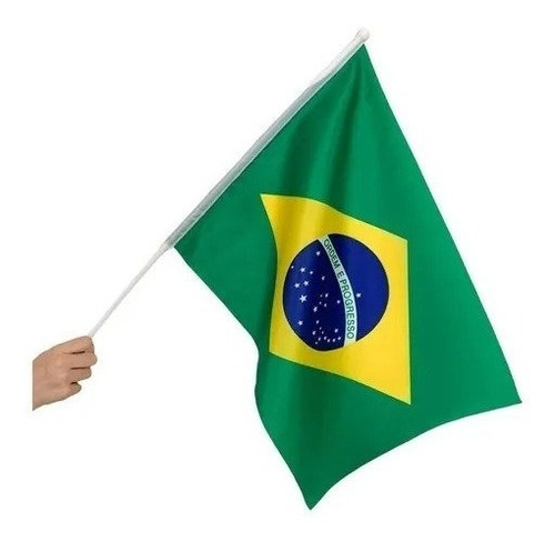 Kit 6 Bandeiras Do Brasil Média Com Haste De Mão