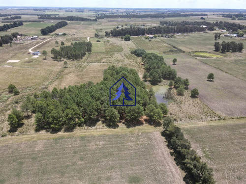 Chacra En Venta- Empalme Olmos