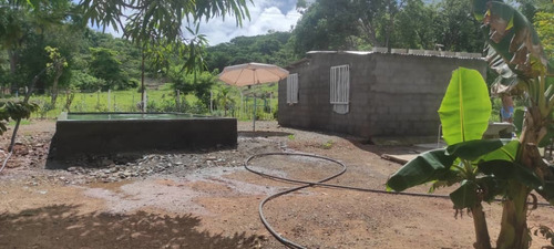 Imagen 10 de 12 de En Venta Parcela En Parapara De Ortiz