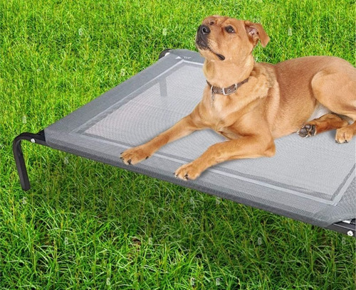 Imagen 2 de 6 de Cama Elevada Para Perros Y Otras Mascotas, Oxgord
