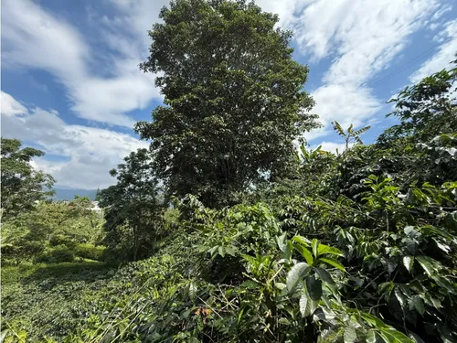 Se Vende Lote Vereda San Juan De Carolina