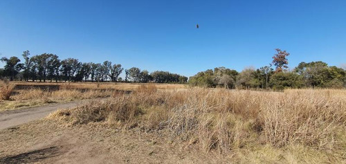 Alquilo Terreno De 3.5 Has A 1 Km De Circunvalación !!!