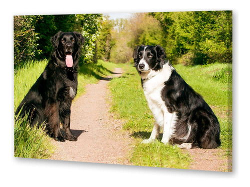 Cuadro Canvas Perros 4 Pareja Perros Negros