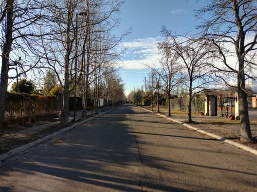 Imagen 10 de 13 de Chicureo Oriente