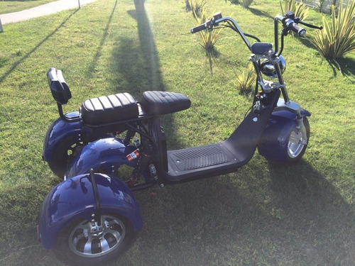 Imagen 14 de 15 de Triciclo Moto Eléctrica Tricoco Citycoco - Trike Uruguay