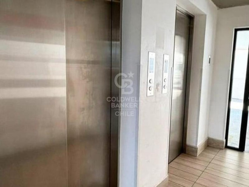 Hermoso Departamento Amoblado Sector Avenida Brasil