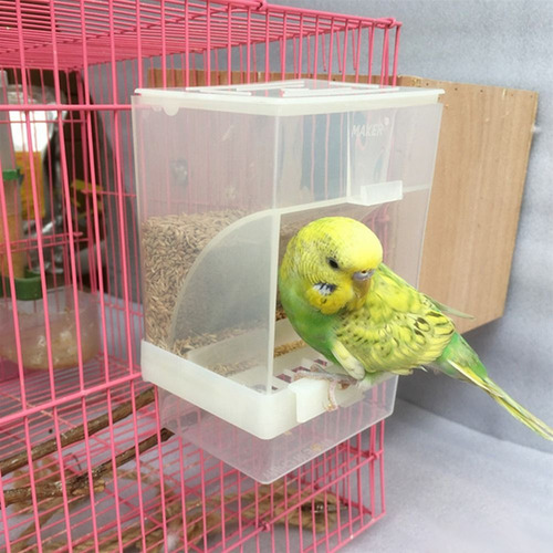 Comedero Automático Para Pájaros, Dispensador De Comida De P