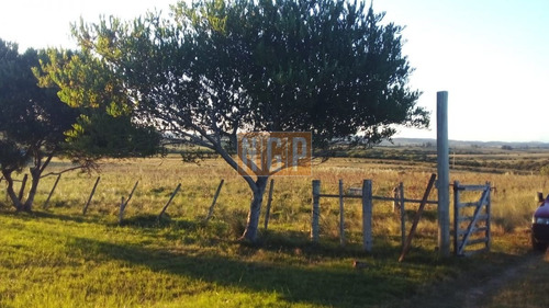 Imagen 2 de 15 de Muy Lindo Campo , Con Cercanía A La Ciudad , Hermosa Vista , Y Fácil Acceso