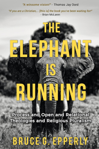 Libro: Libro: The Elephant Is Running: Process And Open And