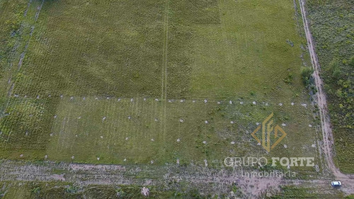 Imagen 23 de 29 de Lotes En Quillinzo