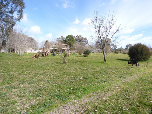 Imagen 7 de 30 de Quinta En Arturo Segui Calle 403 E/ 139 Y 141 La Catalina Dacal Bienes Raices