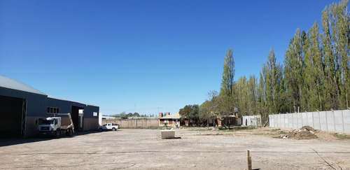 Imagen 18 de 30 de Alquilo Predio 6500 M2 Galpón 1900 M2 300 M2 Oficin Neuquen