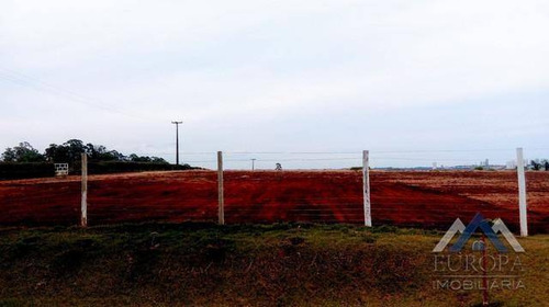 Imagem 3 de 7 de Terreno À Venda, 23280 M² Por R$ 1.400.000,00 - Chácaras São Miguel - Londrina/pr - Te0516