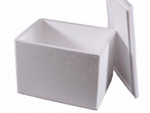 Conservadora, Caja De Telgopor Medidas: 30 X 42,5 X 25,5 Cm