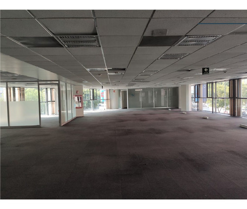 Imagen 8 de 9 de Renta - Oficina - Masaryk - 880m2- Piso 3