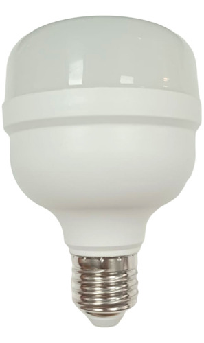 Lampara Led High Power Alta Potencia Galponera 20w Luz Fria