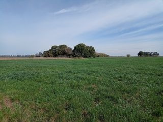 Campo Agricola  3 Hectareas Alvarez 