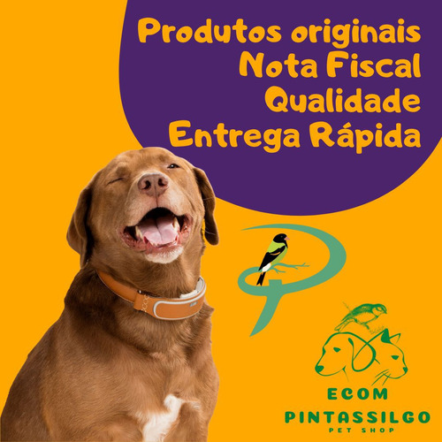 Antipulgas Ceva Vectra 3d Cães De 10 A 25 Kg 3 Pipetas Violeta