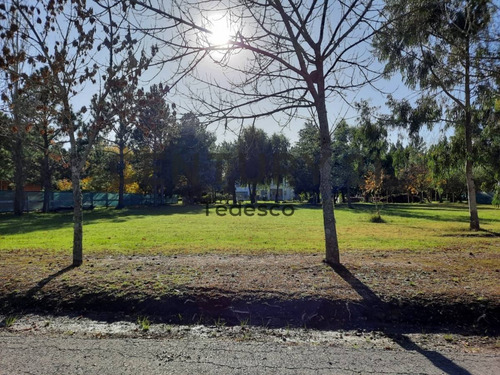 Imagen 7 de 14 de Club De Campos Miralagos Ii