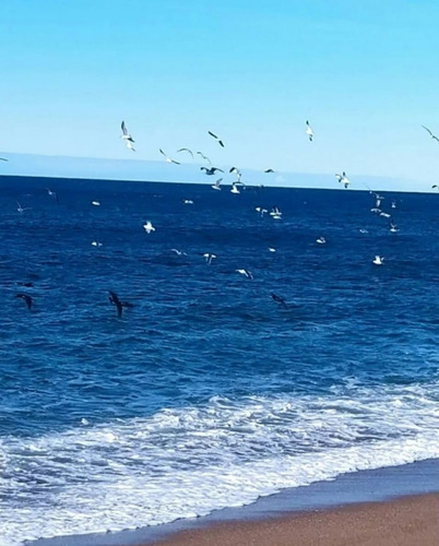 Venta De Terreno En Playas Doradas Rio Negro
