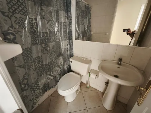 Arriendo Departamento Año Corrido Entre 7 Y8 Norte C/oriente