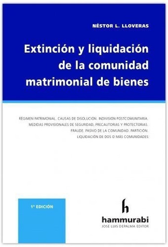 Extincion Y Liquidacion De La Comunidad Matrimonial De Biene