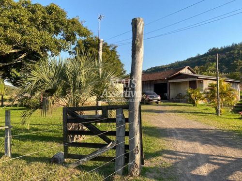 Imagem 9 de 15 de Sítio Para Venda Em Taquara, Fazenda Fialho, 3 Dormitórios, 1 Banheiro, 1 Vaga - 164897-jv_2-1345520