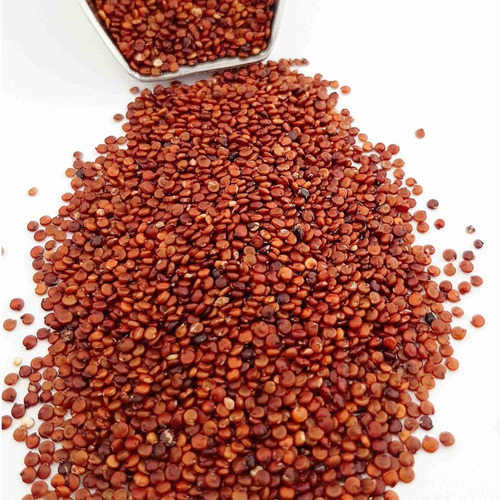 1 Libra De Semillas De Chenopodium Quinoa- Quinoa Roja