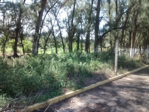 Venta Terreno Frente Al Mar 1821 M² Playa Tuxpan Veracruz