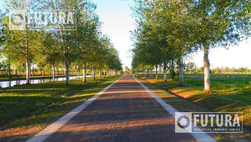 Imagen 6 de 19 de Terreno En Venta En Barrio Privado Pinares Del Sur Lote 63